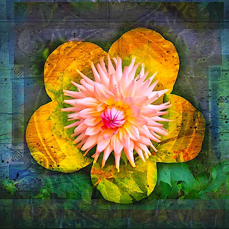 flower power
